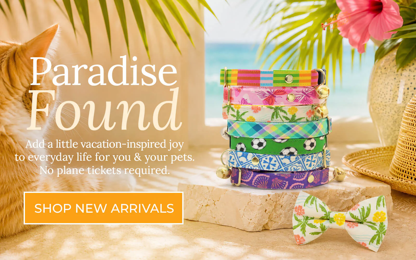 Chic Safety for Your Cat