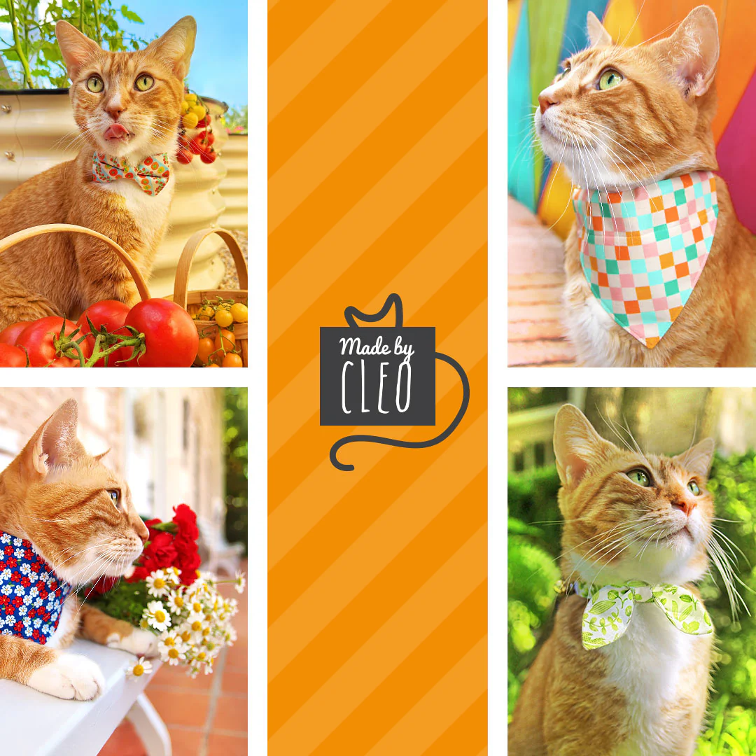 Thumbnail 13