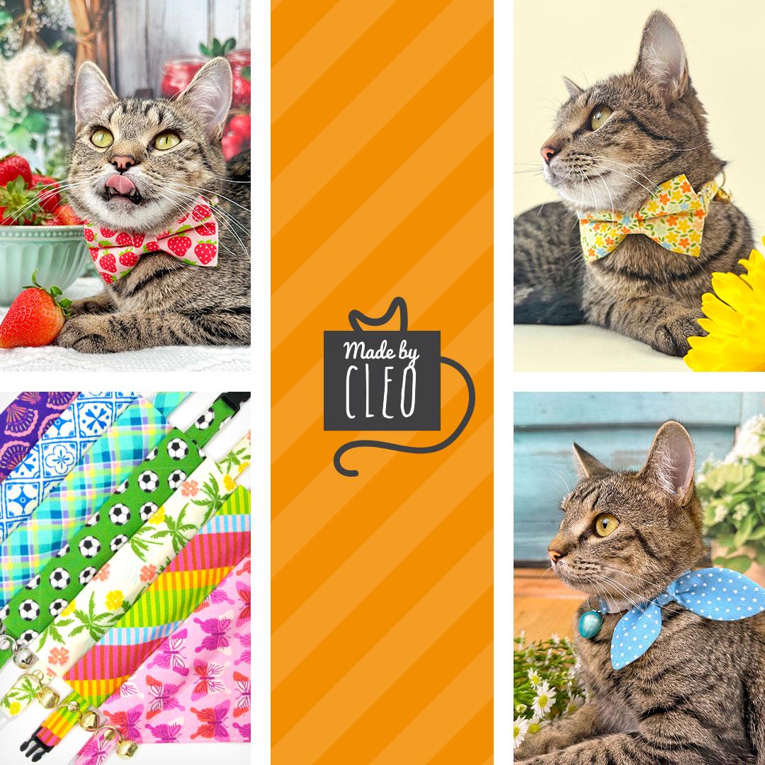 Thumbnail 11